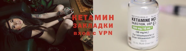 шишки Тында