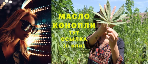 шишки Туринск